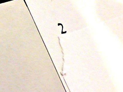 20190212KIMG1771.jpg