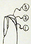 20091108_01