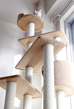 20091223_02