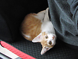 20100101_05