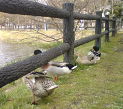 20100504_02