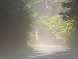 20101010_02