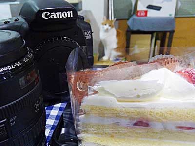 20150330_eos20d