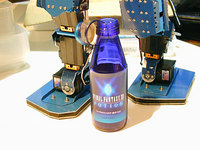 POTION20060317