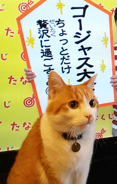 20200222DSC_0493_2.jpg