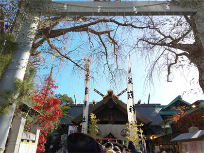 20240101hatsumoudeDSC_1411.jpg